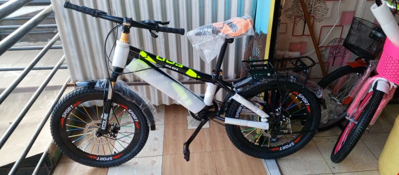 MTB 20" ECO-828 with gear