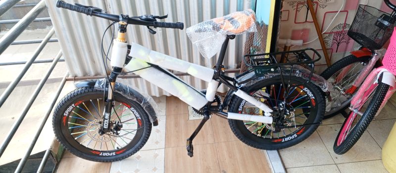 MTB 20" ECO-828 with gear