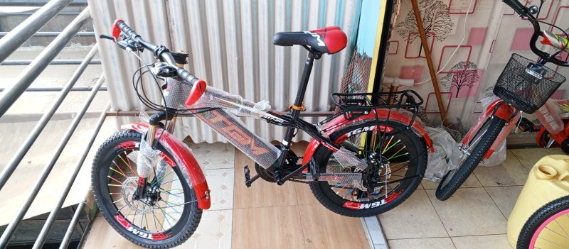 TGM bike size 20