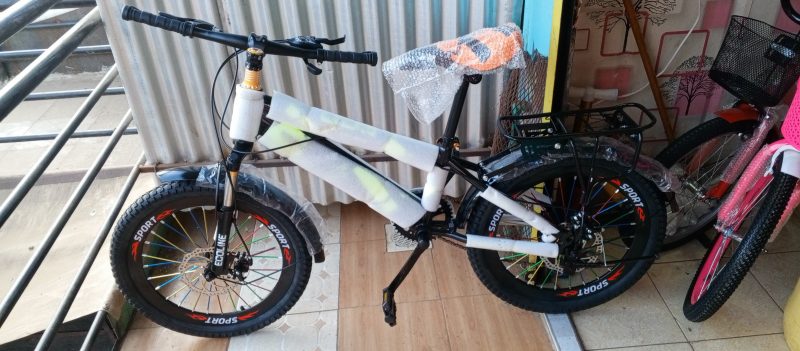 MTB 20" ECO-828 with gear