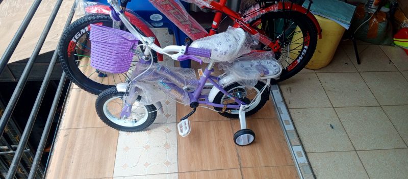 PURPLE GIRLS BICYCLE SIZE 12 scaled